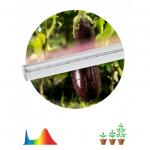 Светильник ЭРА фито св/д  8вт 600мм розов