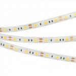 Лента светод,RTW 2-5000SE 12V Green 2x (5060, 300LED,LUX) 14,4w 15434 Герметичная лента