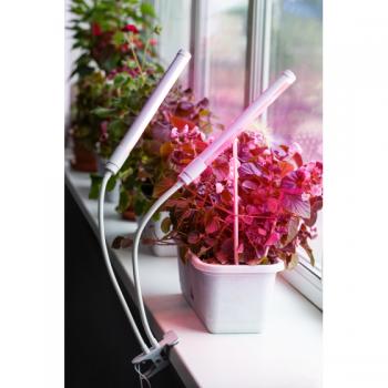 Светильник ЭРА фито светодиодный на прищепке 20вт