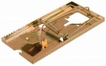 myshelovka-stayer-master-metallicheskoe-osnovanie-malaya