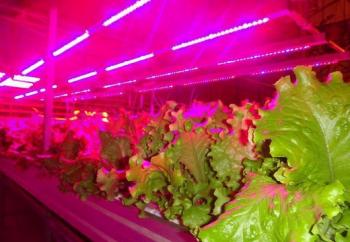 Лампа светодиодн. 100см 72 LED х 0,35Вт, 25Вт для досветки растений